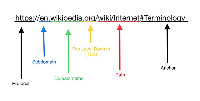 why www is not showing in my website? How to add www