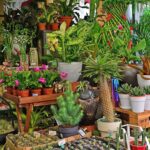 digital marketing for plant nursery